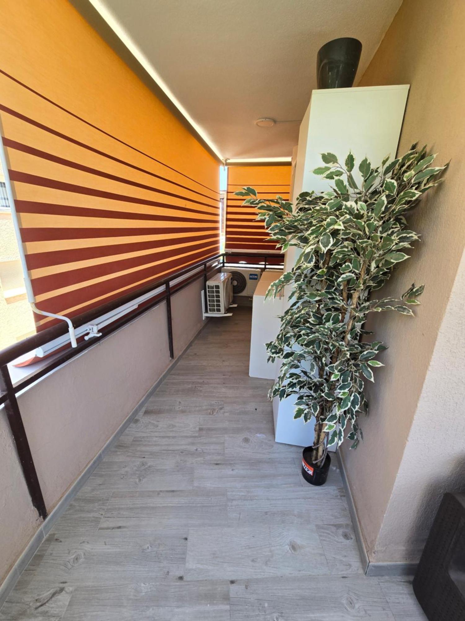 Apartamento Alzahir มาร์เบยา ภายนอก รูปภาพ